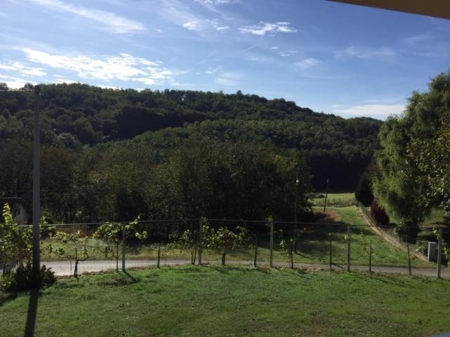 Kuca Za Odmor "Nedeljko"/ Holliday Hause "Nedeljko" Sveti Martin Na Muri Exterior foto