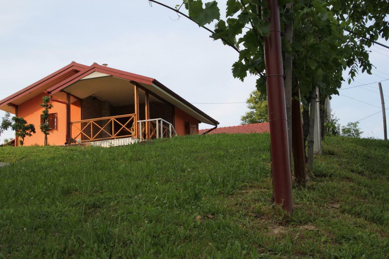 Kuca Za Odmor "Nedeljko"/ Holliday Hause "Nedeljko" Sveti Martin Na Muri Exterior foto